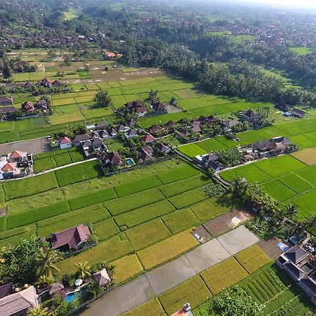 Pondok Penestanan Villa Ubud Eksteriør bilde